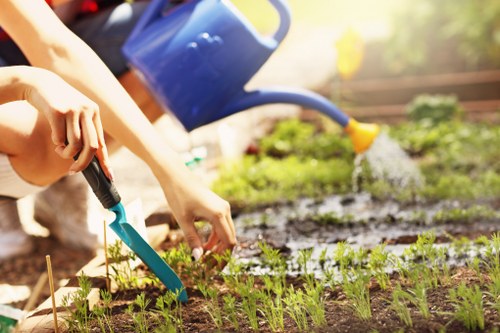 Illustration of accessible gardening information for Camden Town users