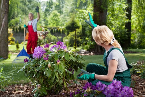 Garden waste and debris removal in Camden Town