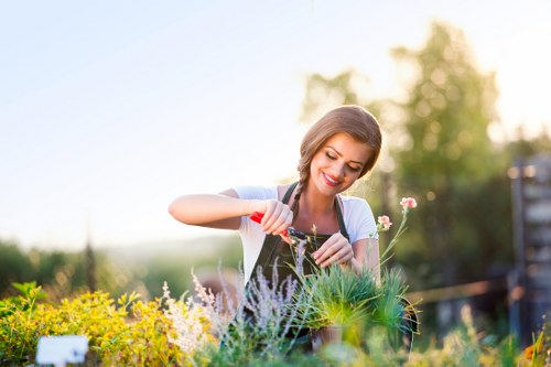 Professional team handling garden clearance in Camden Town