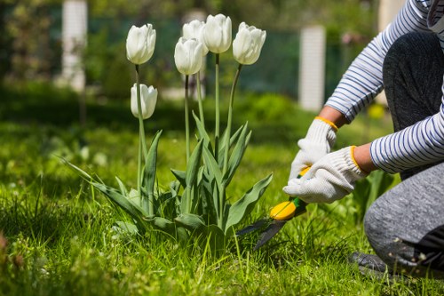 Gardening services in Camden Town for residential garden maintenance