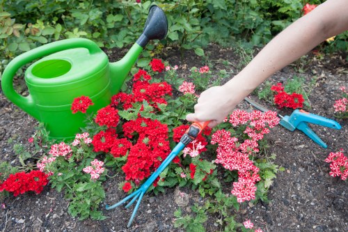 Summer mowing and lawn upkeep in Camden Town
