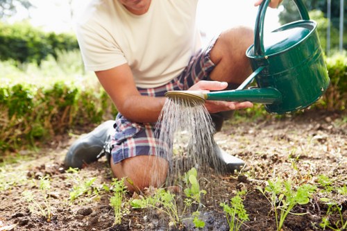 Urban garden grass cutting in Camden Town