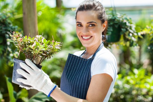 Garden maintenance in a Camden Town courtyard with tidy plants and paving