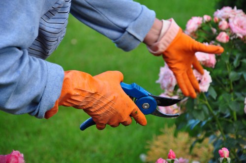 Local gardeners in Camden Town caring for a London terrace garden
