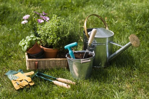 Seasonal garden maintenance in Camden Town with healthy borders