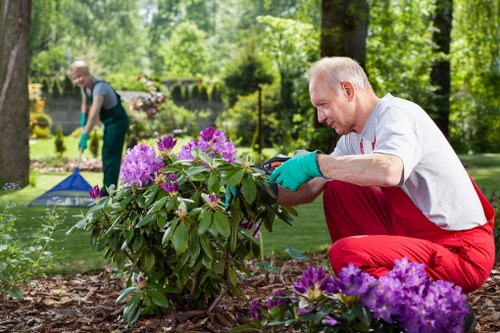 Professional lawn mowing service in Camden Town