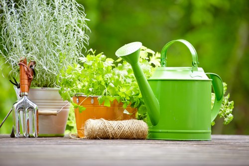 Eco-friendly garden care and landscaping in Camden Town