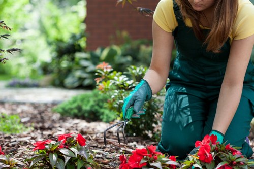 Gardener in Camden Town working under an ethical compliance policy