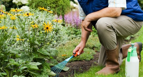 Composting and recycling of green waste for a greener Camden Town