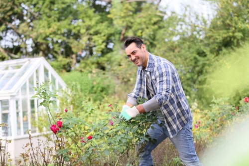 Professional Camden Town gardeners trimming hedges and lawn care