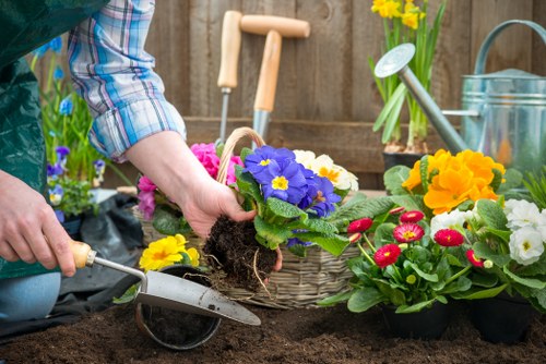 Charity donation of reusable garden items from Camden Town