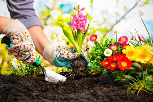 Camden Town gardener receiving professional safety training