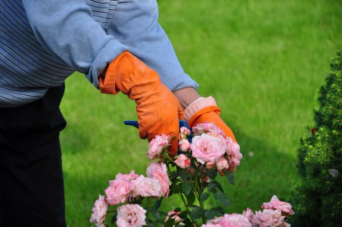 Professional garden maintenance in Camden Town courtyard