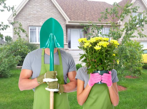 Careful hedge pruning in Camden Town for tidy property borders
