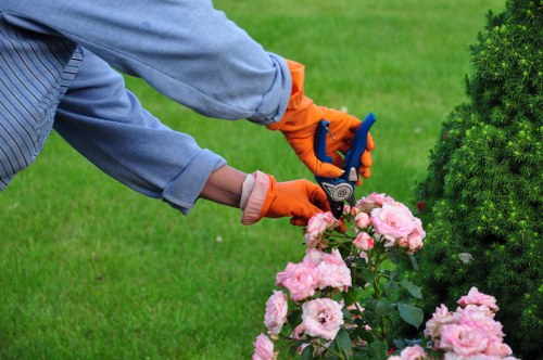 Seasonal gardening services in Camden Town for small outdoor spaces