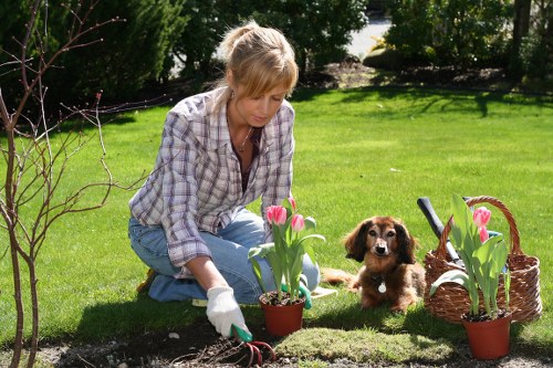 Urban garden maintenance in Camden Town with planting and tidy borders