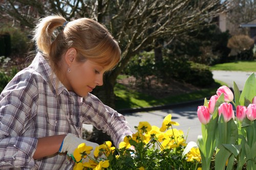 Professional gardeners completing work with safety awareness