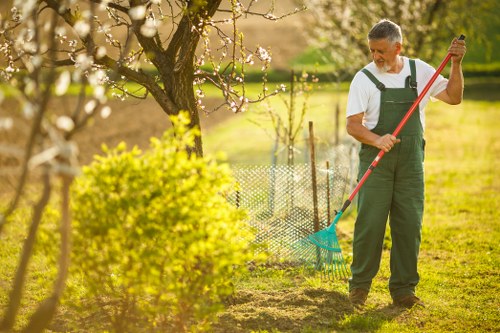 Seasonal lawn maintenance in Camden Town