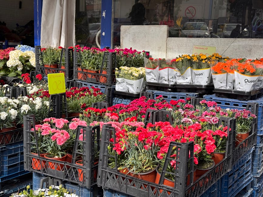 A selection of potted flowering plants, including pink, white, red, orange, and yellow blooms, displayed in black plastic crates outside a garden shop. The plants are arranged in neatly organized rows