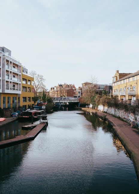 A canal scene featuring a landscaped waterside area with a mix of urban architecture and lush greenery. On the left, a large leafy tree with dense green foliage extends over the stone-paved promenade 